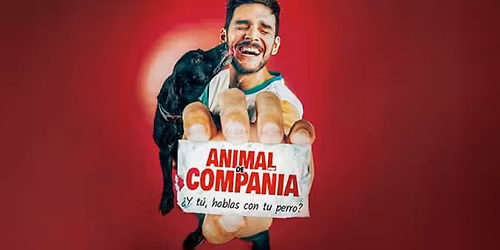 Animal de Compa\u00f1\u00eda en Le\u00f3n