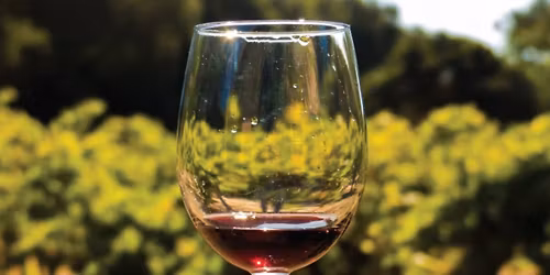 January Virtual Charity Wine Dinner