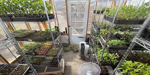 Garden Starter Fundraiser - Growing Together