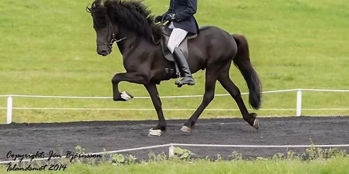 Tr\u00e4ning f\u00f6r Linda Tommelstad