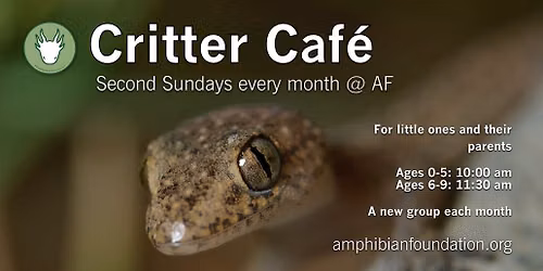 Critter Caf\u00e9 - Ages 0-5