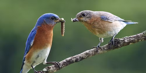 Burcham Park Field Trip
