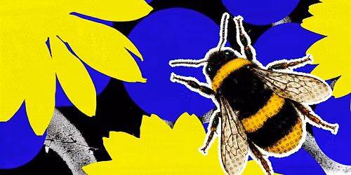 Bee Jubilee featuring the New York Flower Show