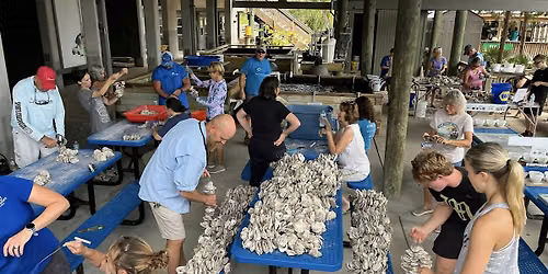 Vertical Oyster Garden Building Workshop
