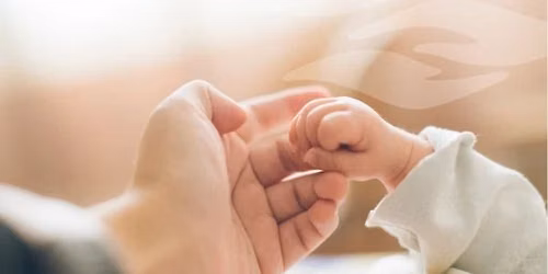 Baby Care Basics