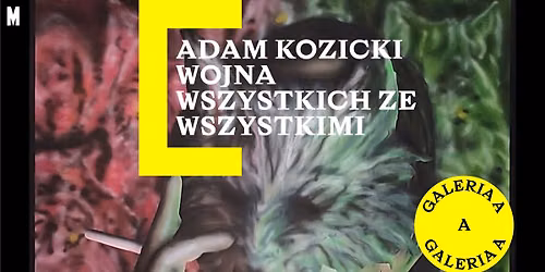 Adam Kozicki \ud83e\udd77 Wojna wszystkich ze wszystkimi