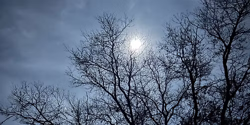 Star Party: Under the Urban Night Sky