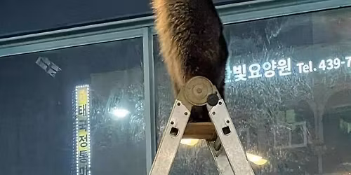 FLINTA Lights Workshop!