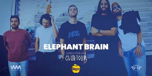 ELEPHANT BRAIN \u2726 in concerto al Druso di Bergamo