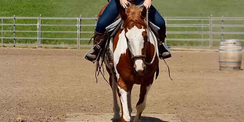 Working Equitation Playday