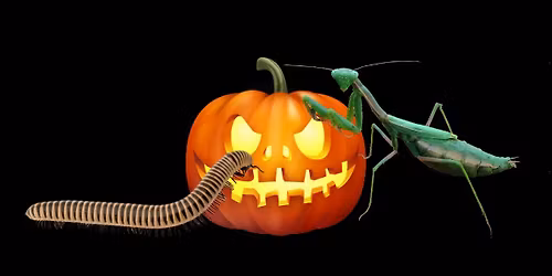 Spooky Animal Encounters!