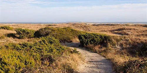 Activity - Beach Hike