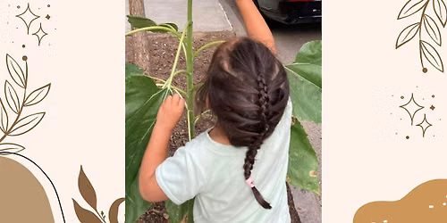 Basic Kids Braiding and Beer