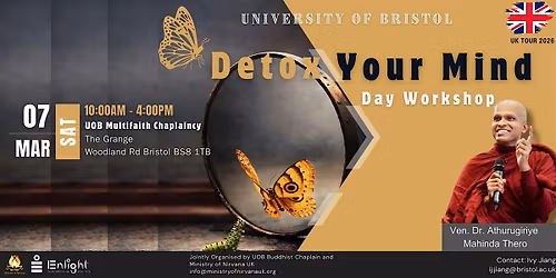 Detox Your Mind Day Workshop - Bristol University - FREE Event
