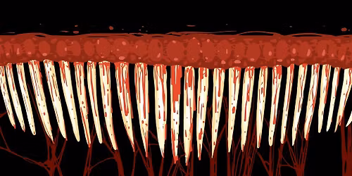 The Psychology of Horror Movies: How horror speaks to the subcon