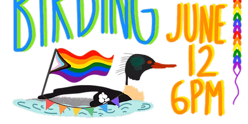 Queer Birding