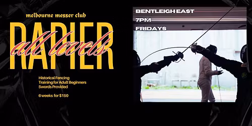 Learn Rapier in Six Weeks - only $150! - Fundamentals Course