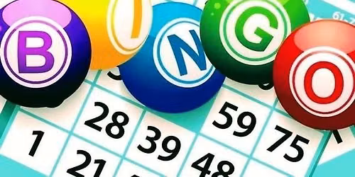 BINGO is its NAME ---Oh