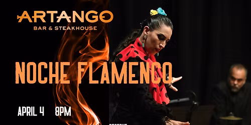 Noche  Flamenco Show