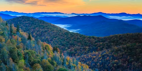 Carnegie Library, \u201cMedicare and You, understanding your choices\u201d