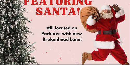 Christmas on Park