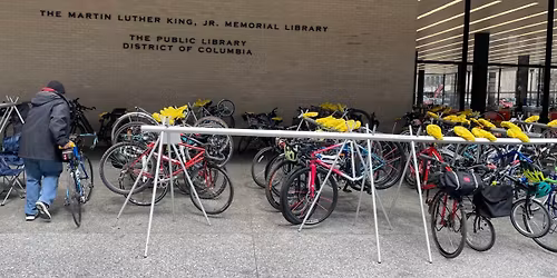 Parking Lion King Jr. - Sacramento