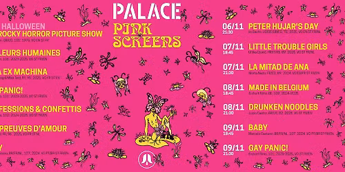 Pink Screens - MADE IN BELGIUM (6 shorts)