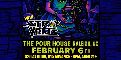 Jars Of Flies with Stray Volts @ The Pour House - Raleigh, NC