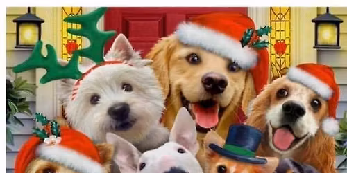 Almost Home Dog Rescue Christmas Fair