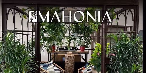 Grand Opening Celebration