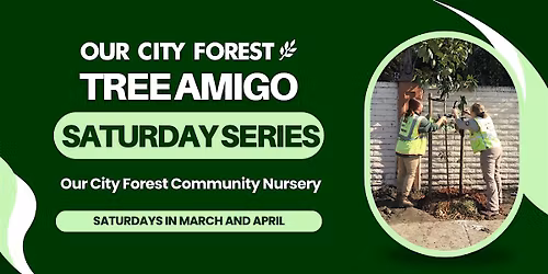 Tree Amigo Saturday Series