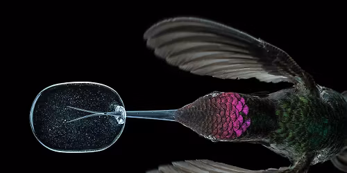 2026 Lecture Series Keynote: Anand Varma