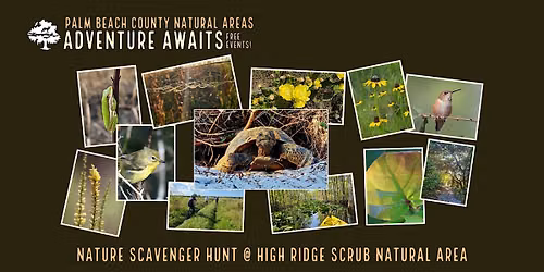 Adventure Awaits - Nature Scavenger Hunt @ High Ridge Scrub