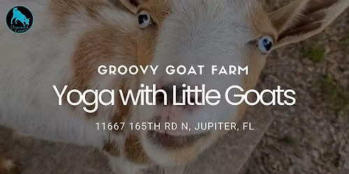Groovy Goat Yoga with Little Goats