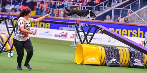 Stage d'Agility avec Kim BARREAU 