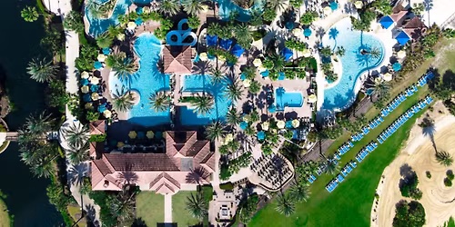 17th Annual Essentials in Primary Care Summer Conference (IN PERSON or LIVE WEBCAST)