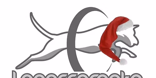 Kinkunsulatusepikset 