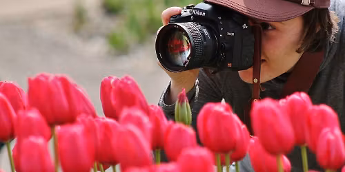 Photo Walk at Tulip Immersion Garden presented by Tulip Time