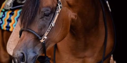 Western Show - Twin Lakes Riding Club