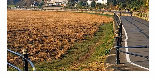 Grange-Over-Sands businesses - we need your help!