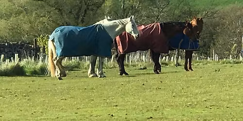 WARC UNAFFILIATED DRESSAGE