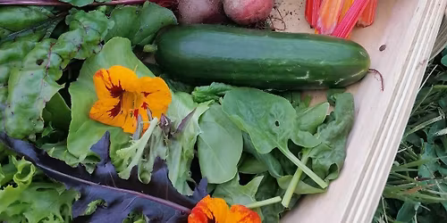 Caxton Farmers Market: December 2025