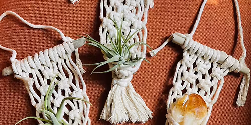 Crafts & Coffee: Mini Air Plant Hangers