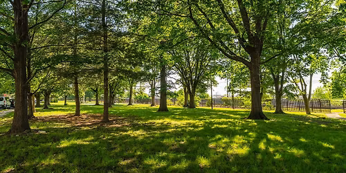 Love Your Park Tacony Disston Park Cleanup