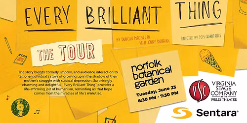 Every Brilliant Thing from VA Stage Company