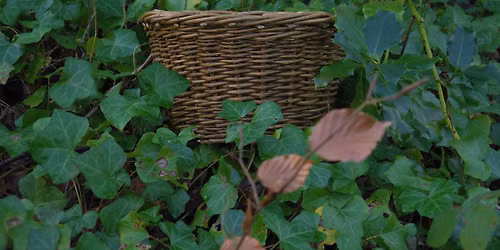 Little Ireland Meitheal ~ Ceardlanna is Comhluadar