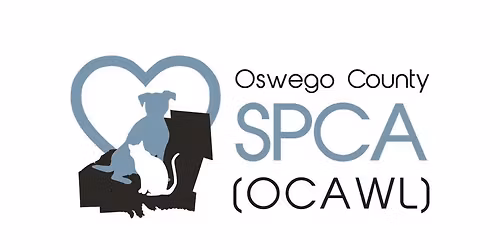 Meowy Christmas & Howling New Year!!!!