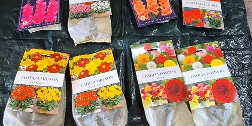 Boro Blooming Event 