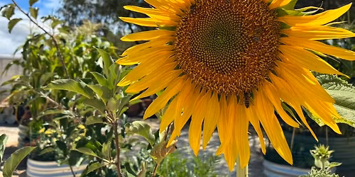 Annual General Meeting