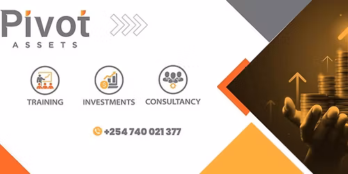 Business & Investor Readiness Program